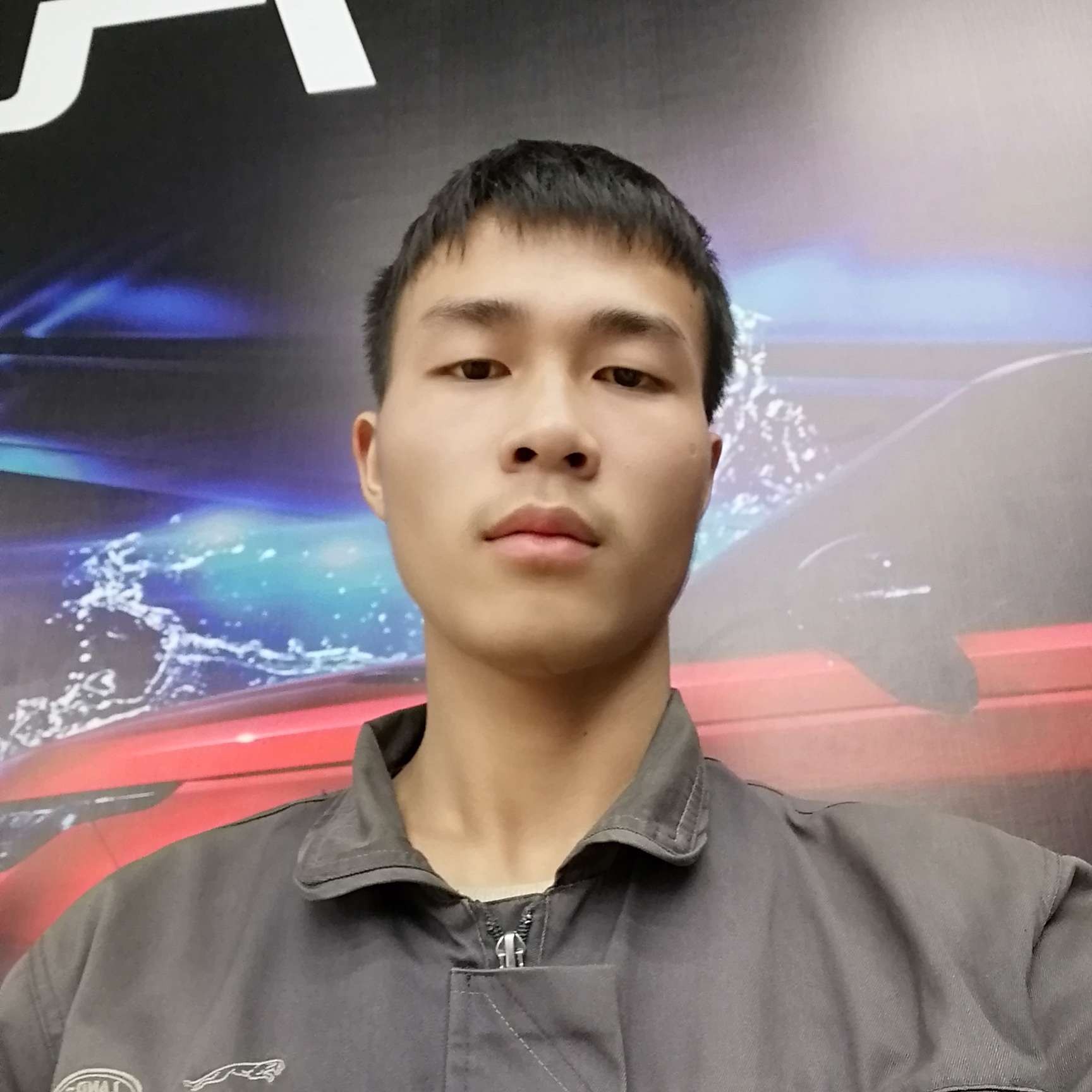 手机蹁跹会撒娇的照片