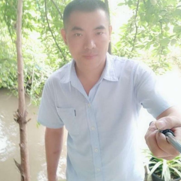 电灯胆初夏的照片