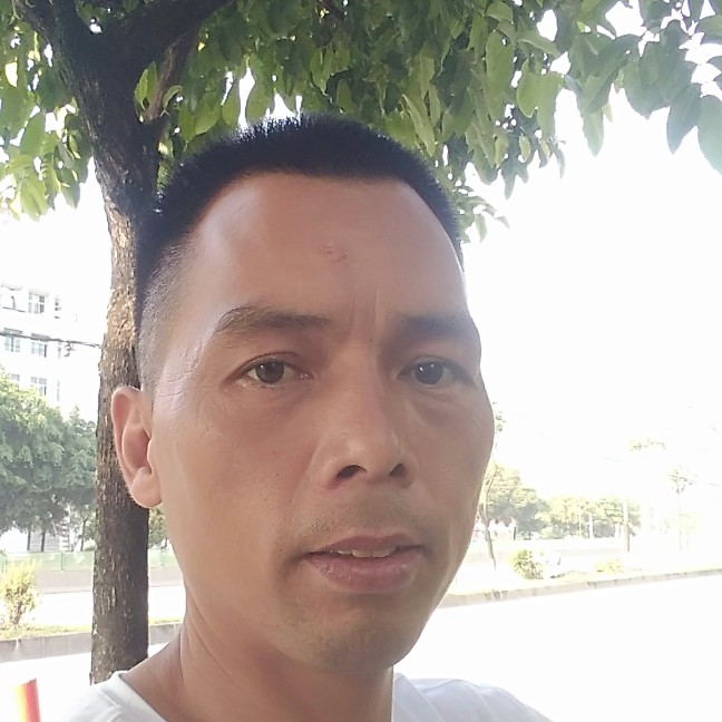 流岚苦恋狂野的照片