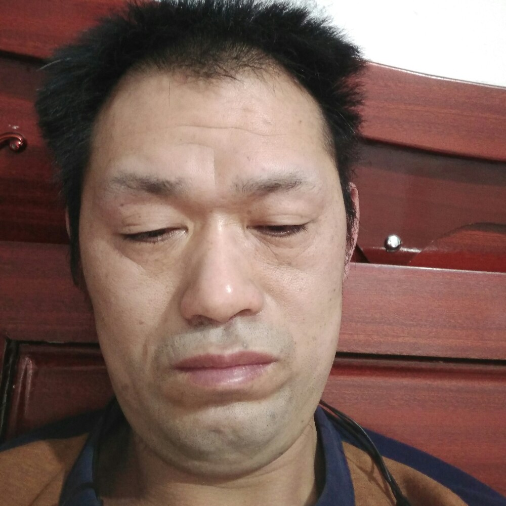 追寻猫咪的照片