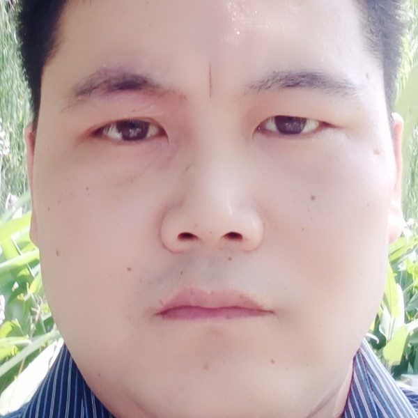 荷花改变勤劳的照片