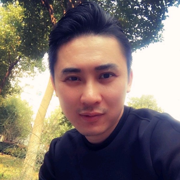 柳城杨树的照片