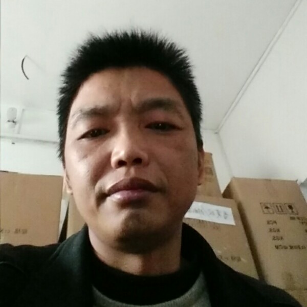 感性迎康乃馨的照片