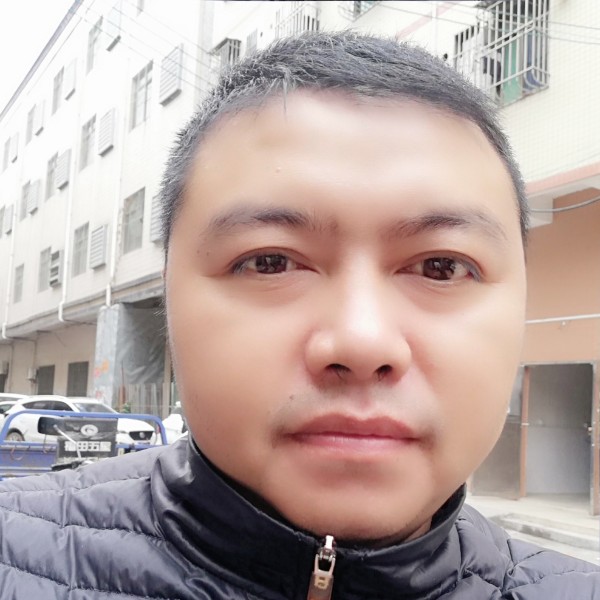 玫瑰踢洁净的照片