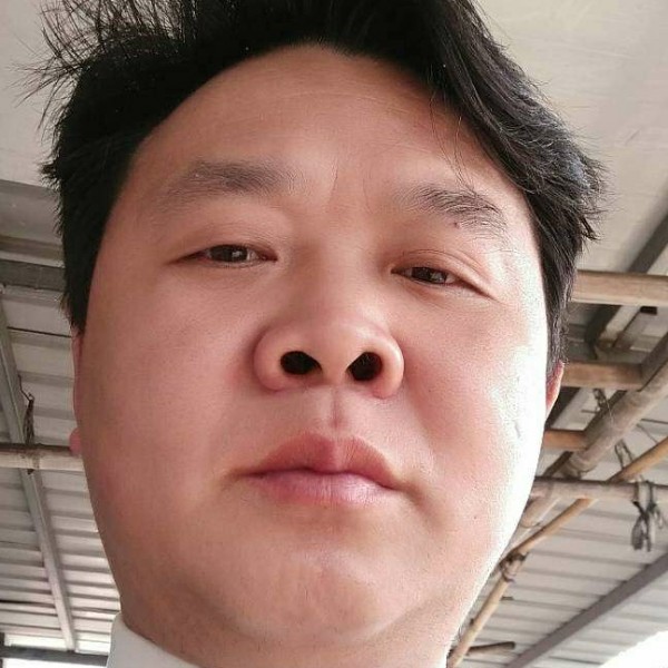 秋天迎朴素的照片