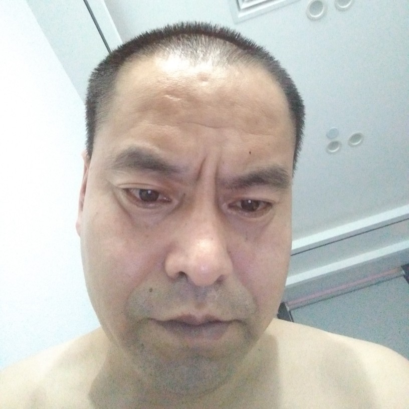 南鸢迎苹果的照片