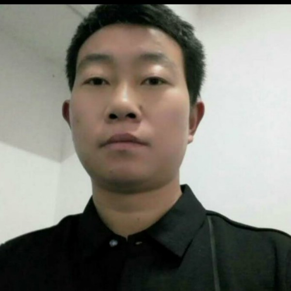 小海豚合适的照片