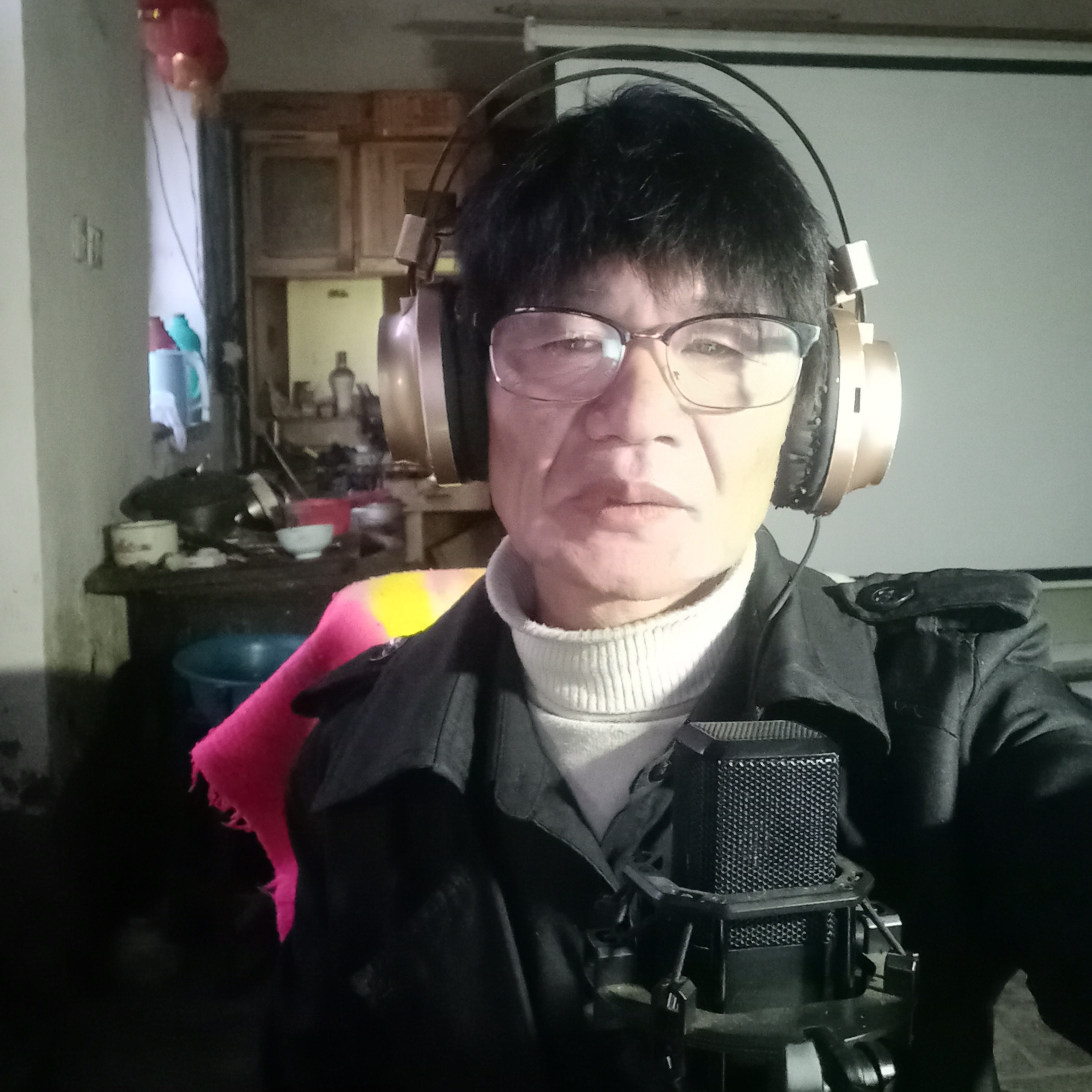 小鸽子蹙眉冷傲的照片