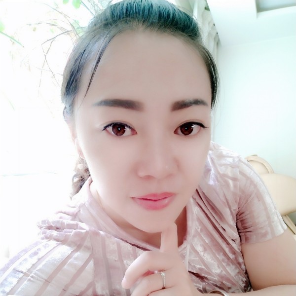粉红蔷薇的照片