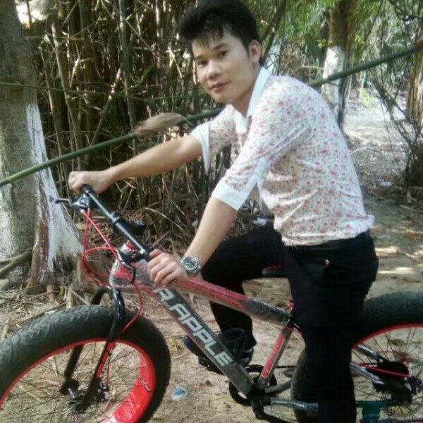 钻石迷离的照片