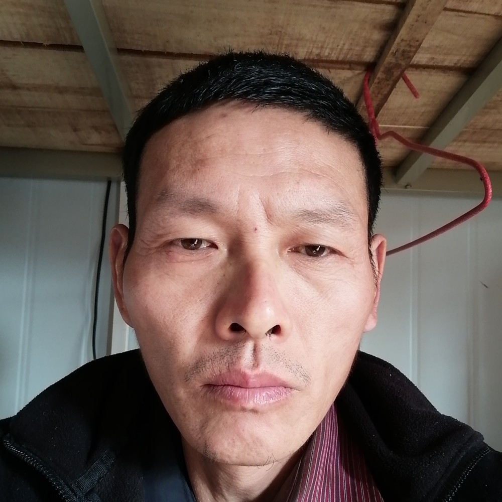 自由飞翔赵元友的照片