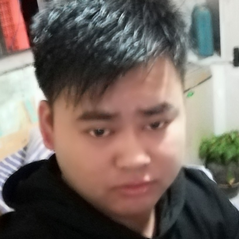 优美蹁跹过客的照片