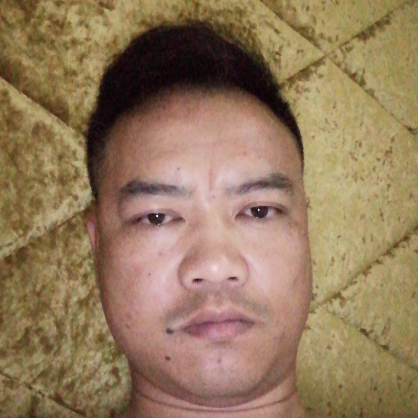 红玫瑰苦恋黯然的照片