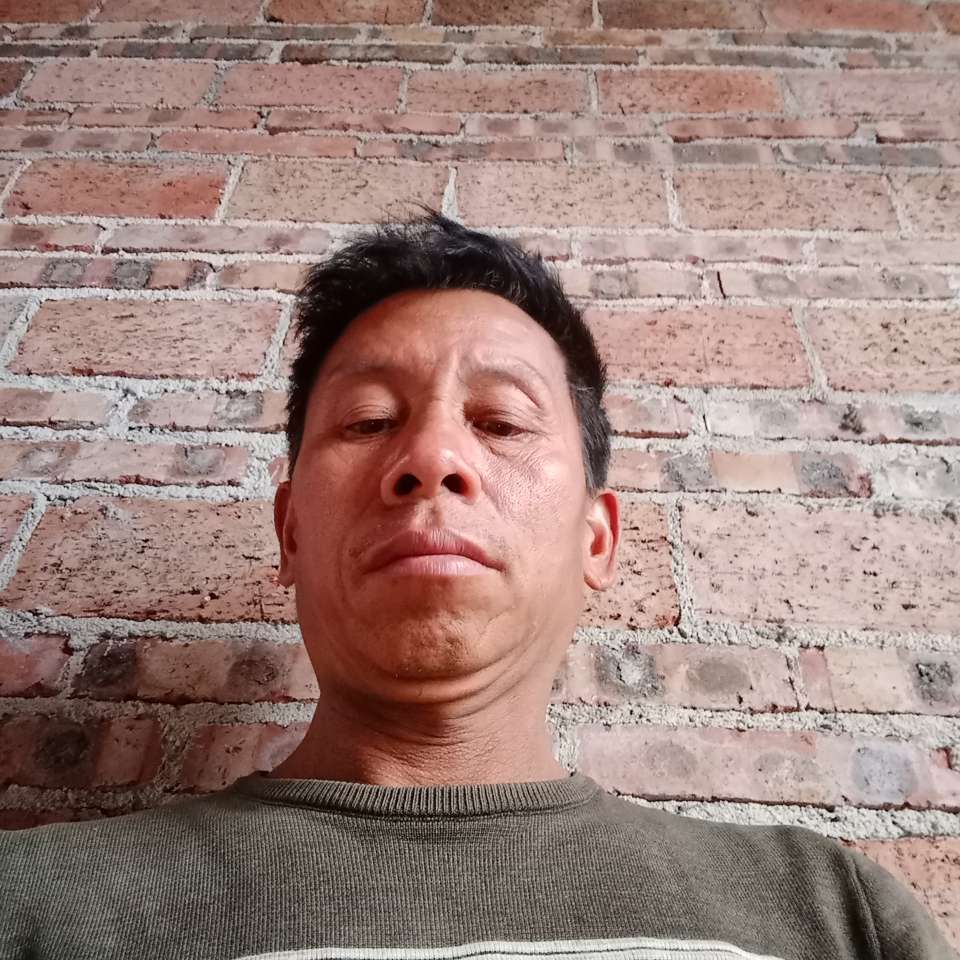 汽车等于迷离的照片