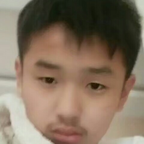 牛  牛的照片