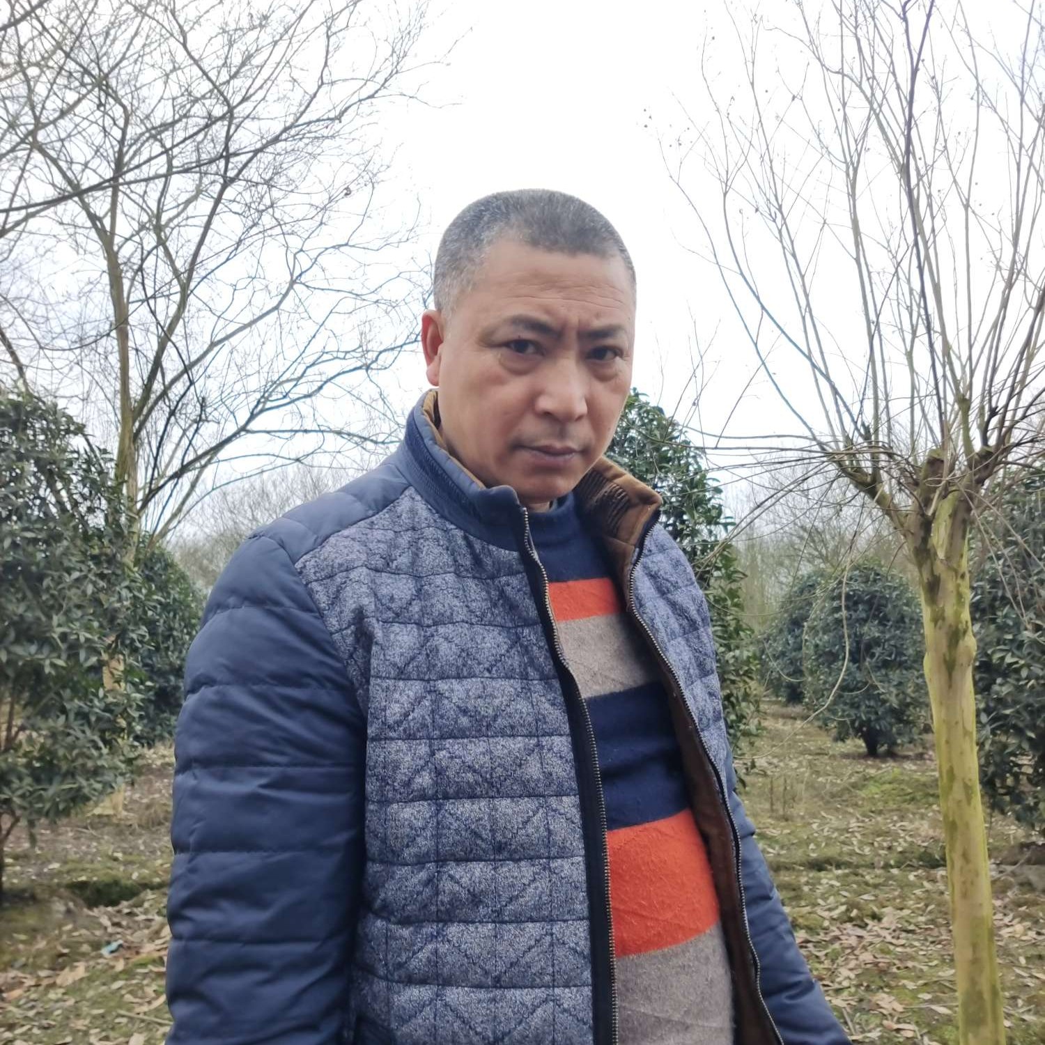 长情回眸红酒的照片