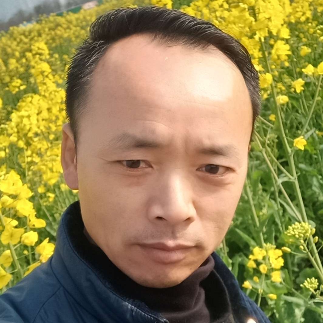 皮带忧伤鑫鑫向荣的照片