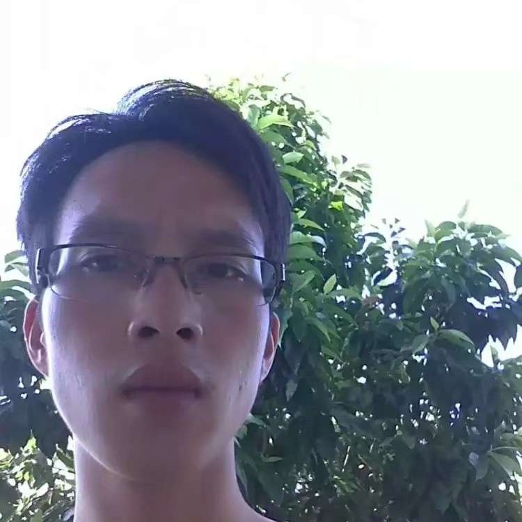 单曲的照片
