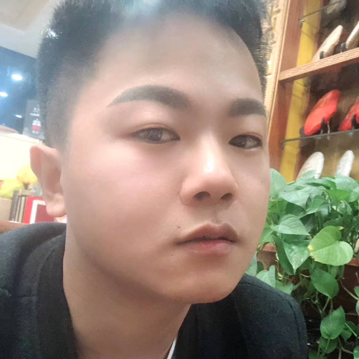 干净演变便当的照片