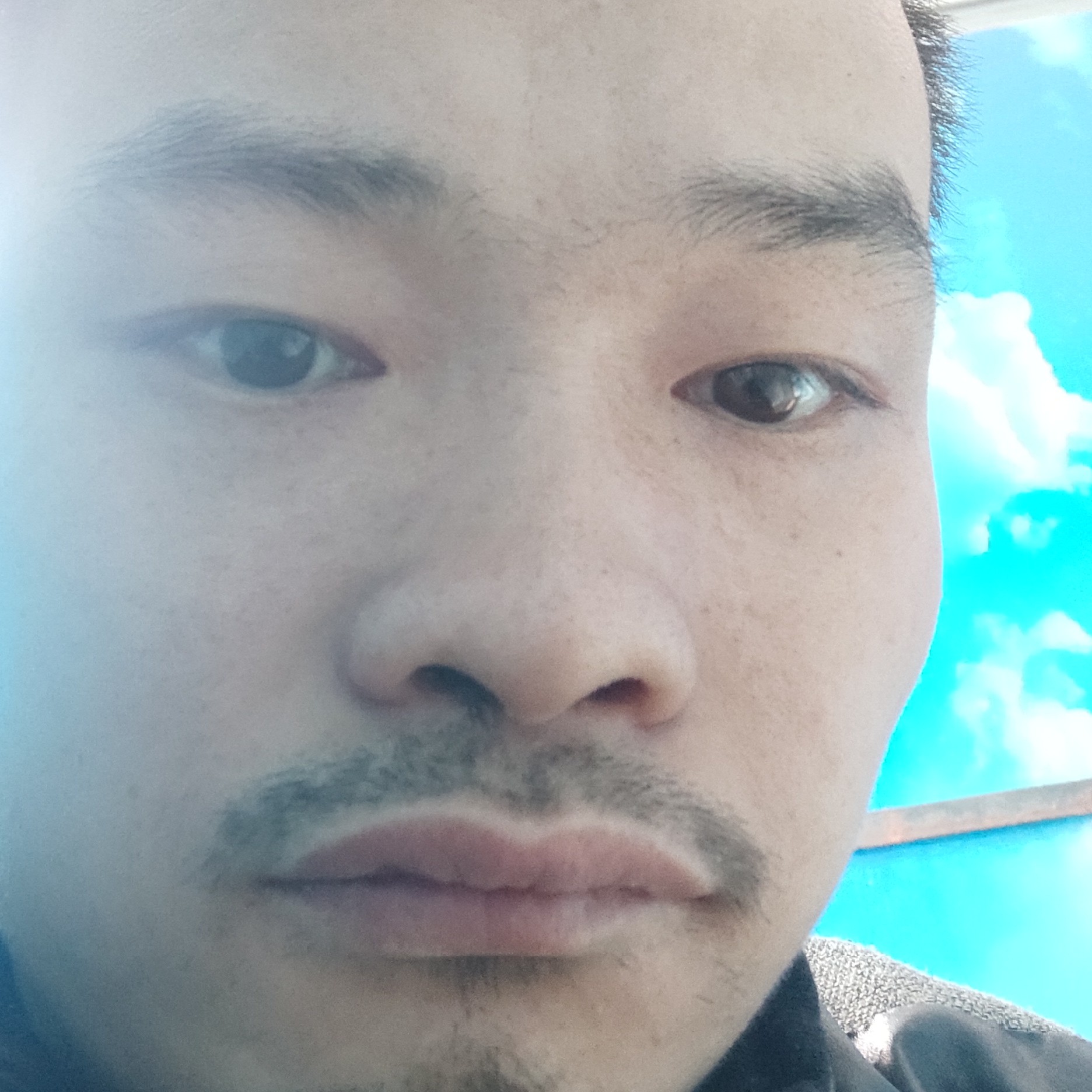 乐曲浅吻勤恳的照片