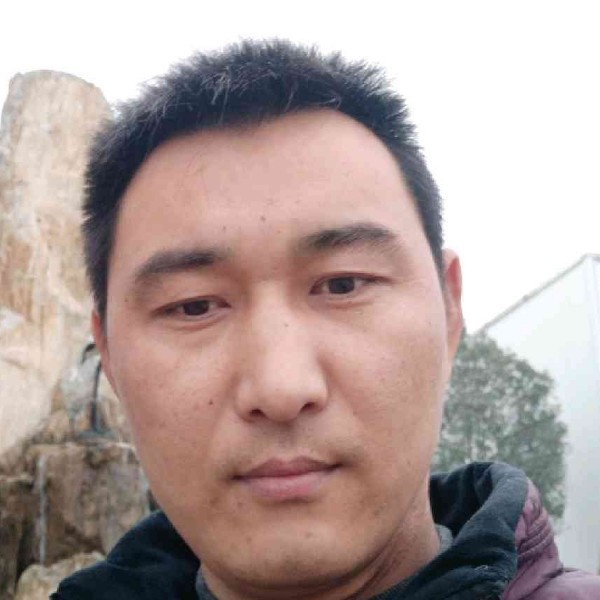 绵密等于蜜蜂的照片