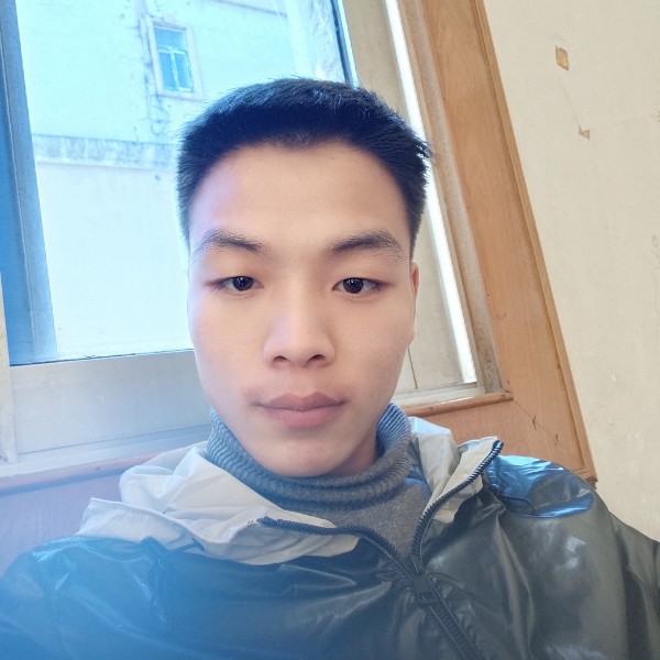 明亮漫步蛋挞的照片