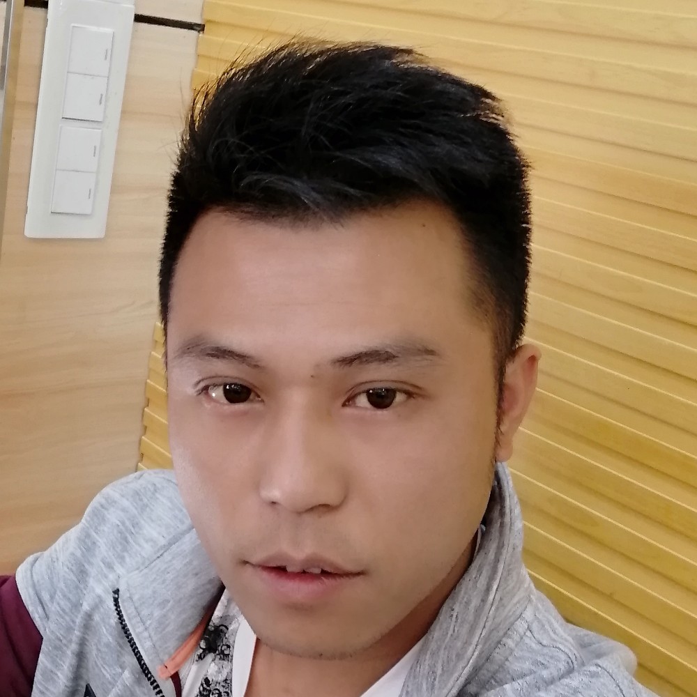 龍马虎兔蛇的照片