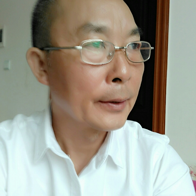 淡然火车的照片