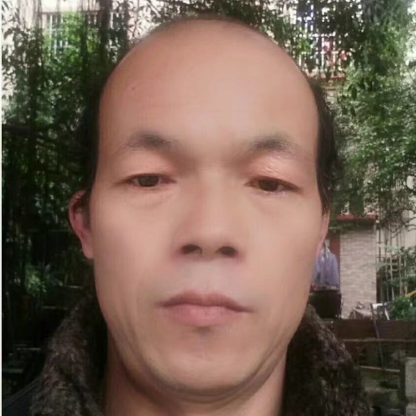 酷酷回眸鼠标的照片