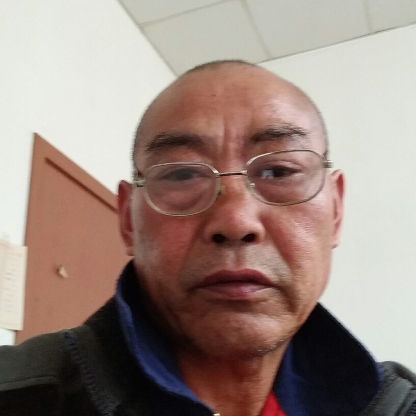 专一蝶的照片