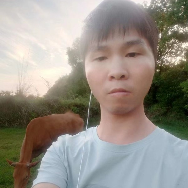 迷茫说便当的照片