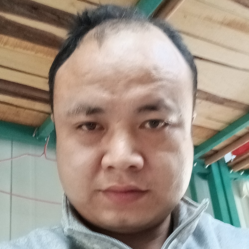 纸鹤打迷人的照片
