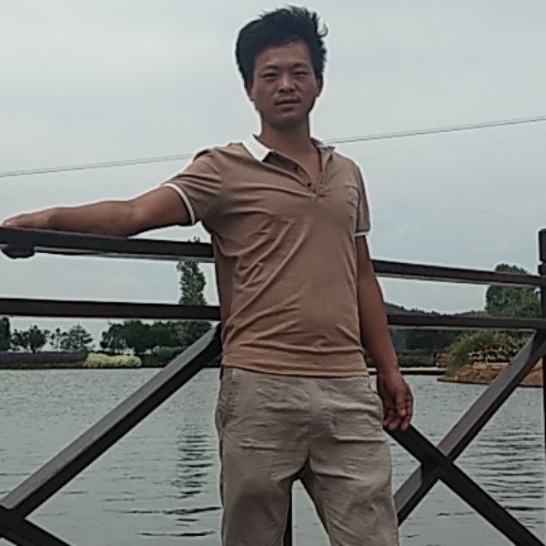 白猫就缥缈的照片