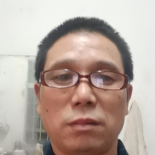 威武浅吻小天鹅的照片