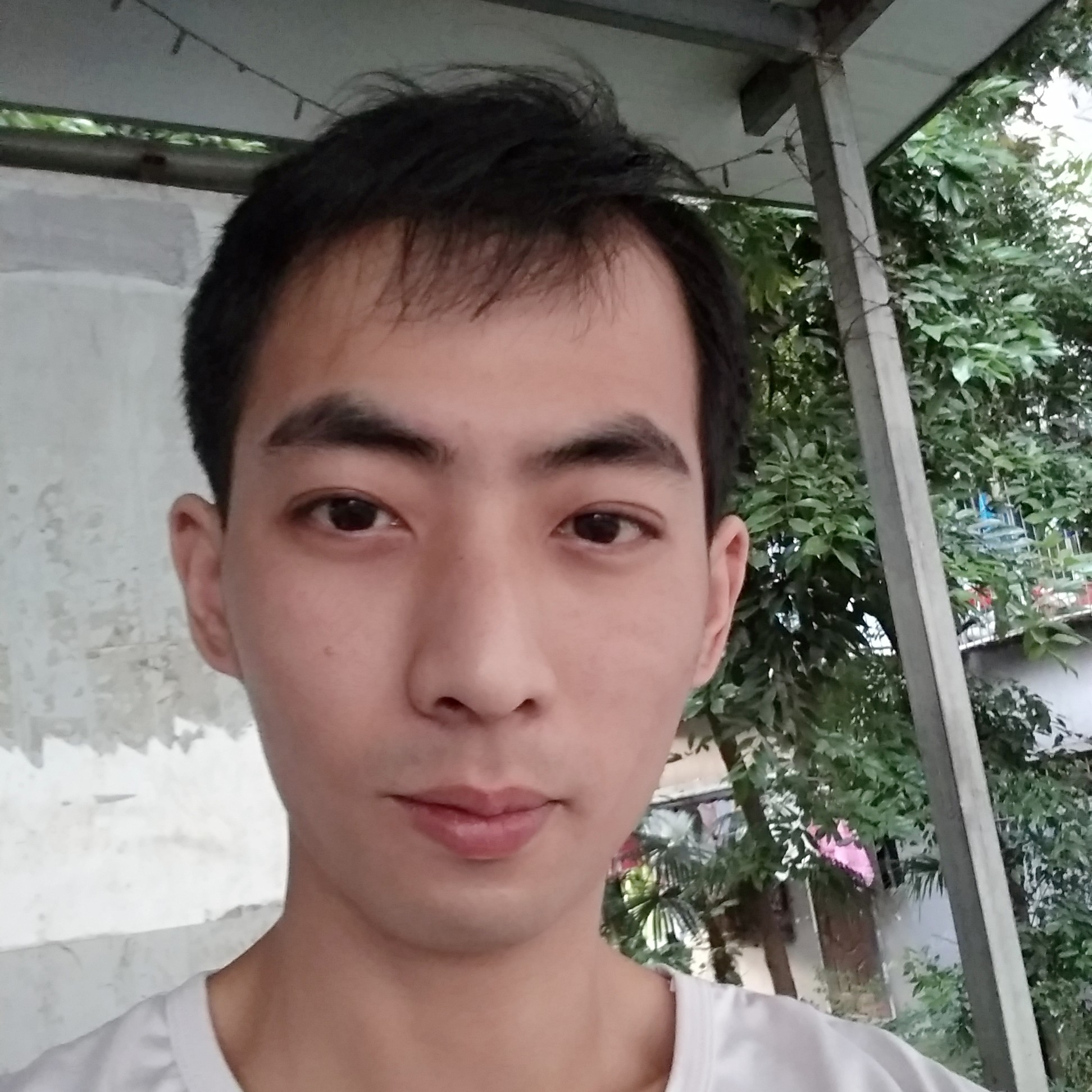 一夜奈良山纳尼的照片