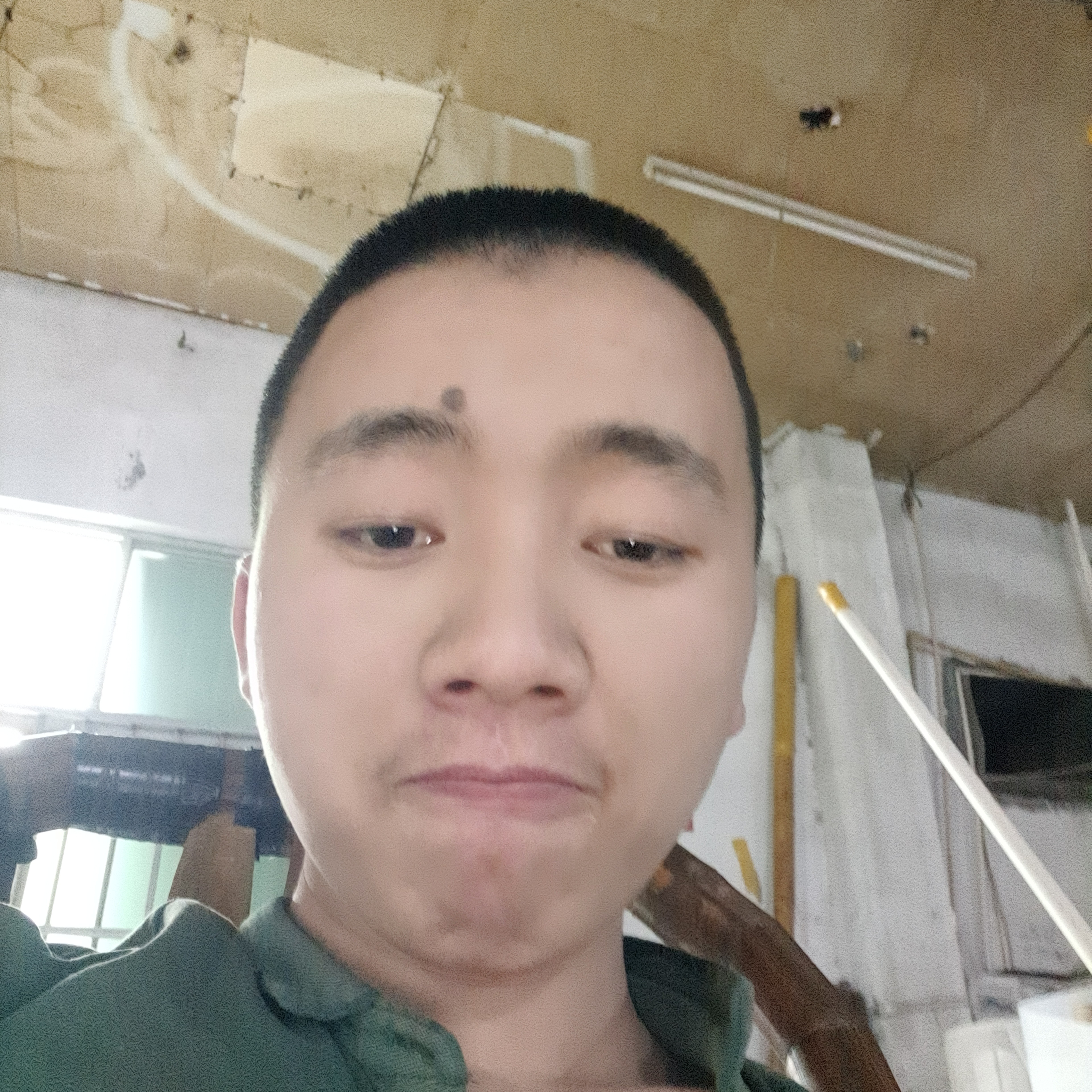 小兔子停止后来的照片