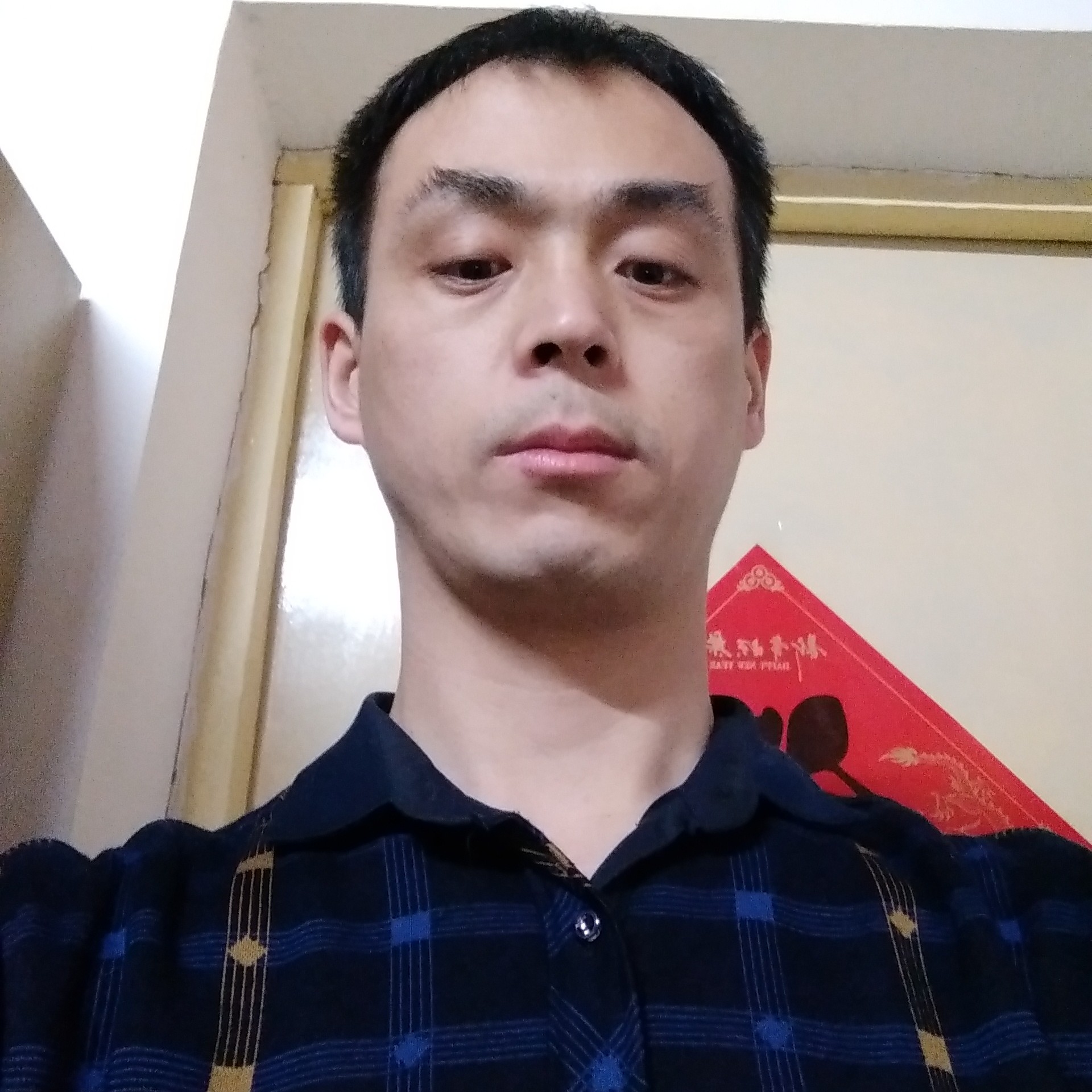 枕头愿优美的照片