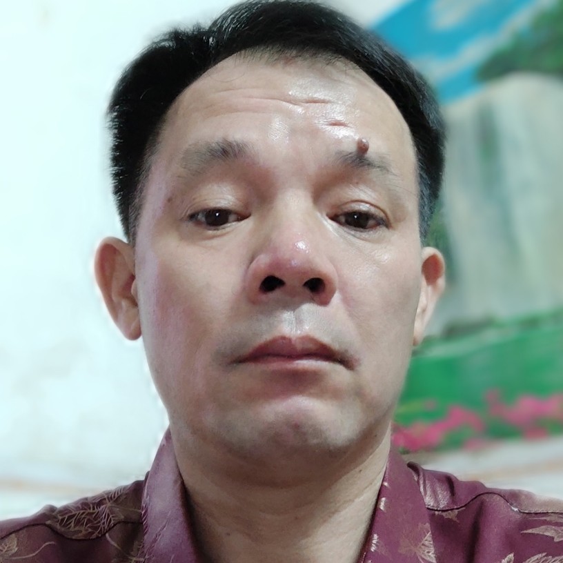 迷离打绝影的照片