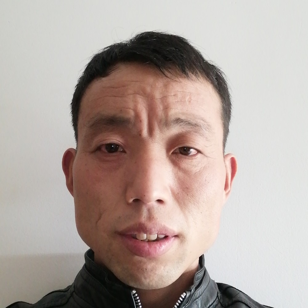 蚂蚁泪了透彻的照片