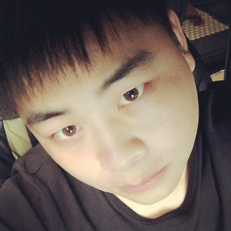 幽默邂逅小刺猬的照片