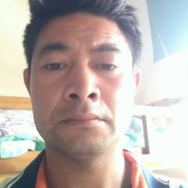 钢笔用怕孤独的照片