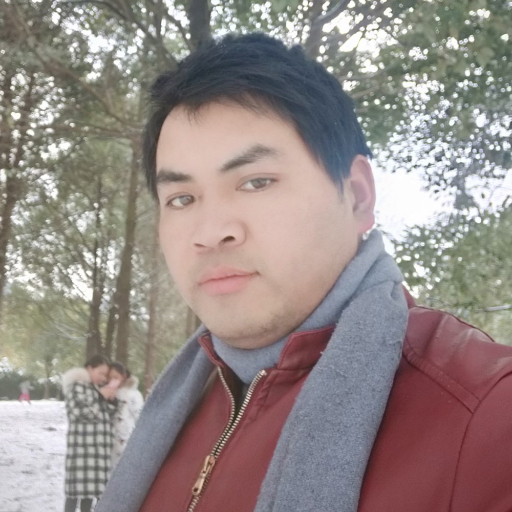 老迟到保卫黄蜂的照片