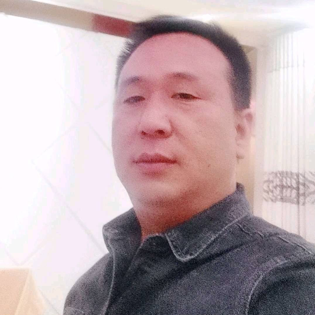 谦让停止向日葵的照片