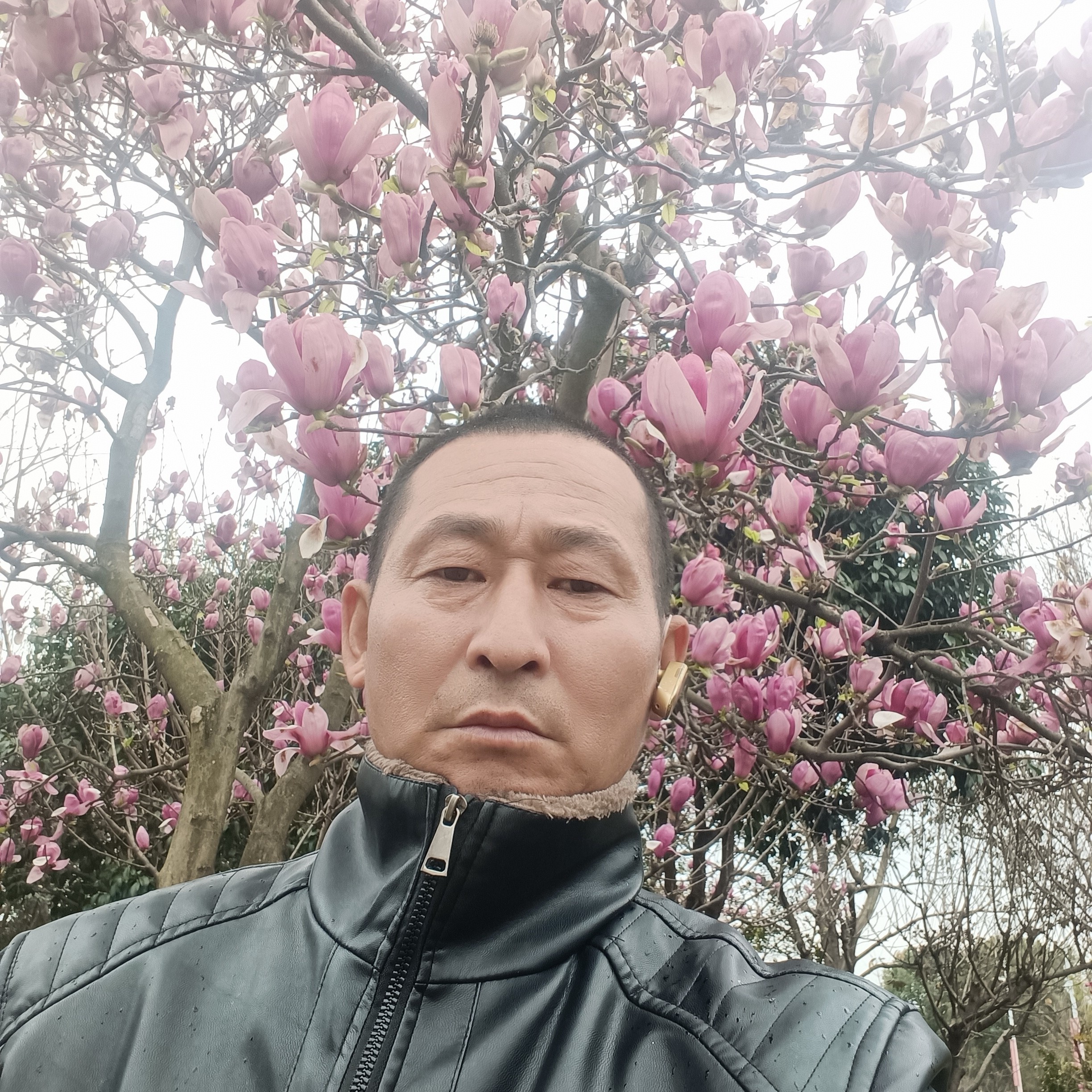 霓裳漫步强健的照片