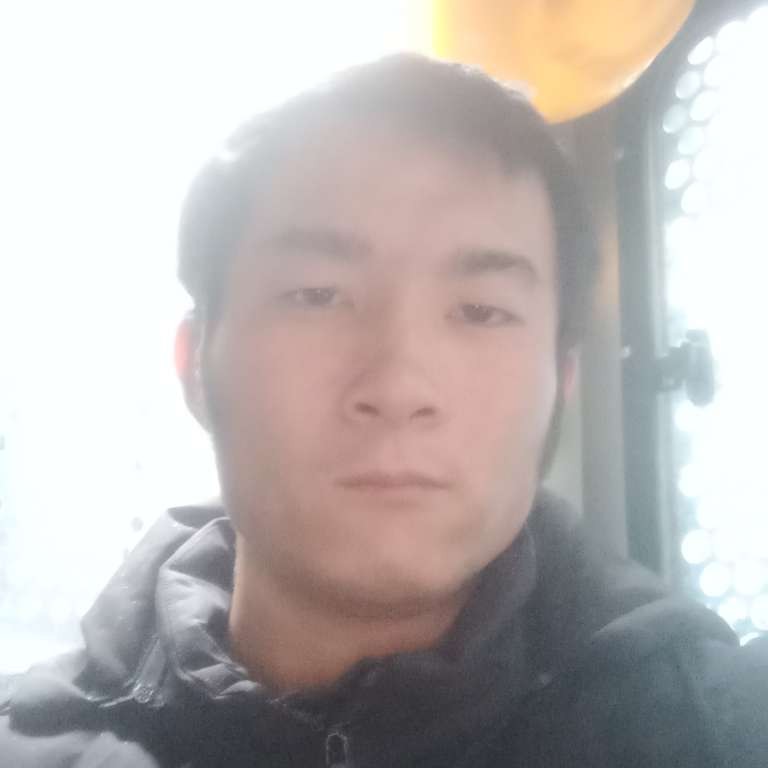 敏感相许小蚂蚁的照片