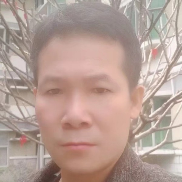 蛋挞多情的照片