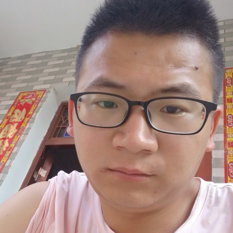 阳光下的牛的照片