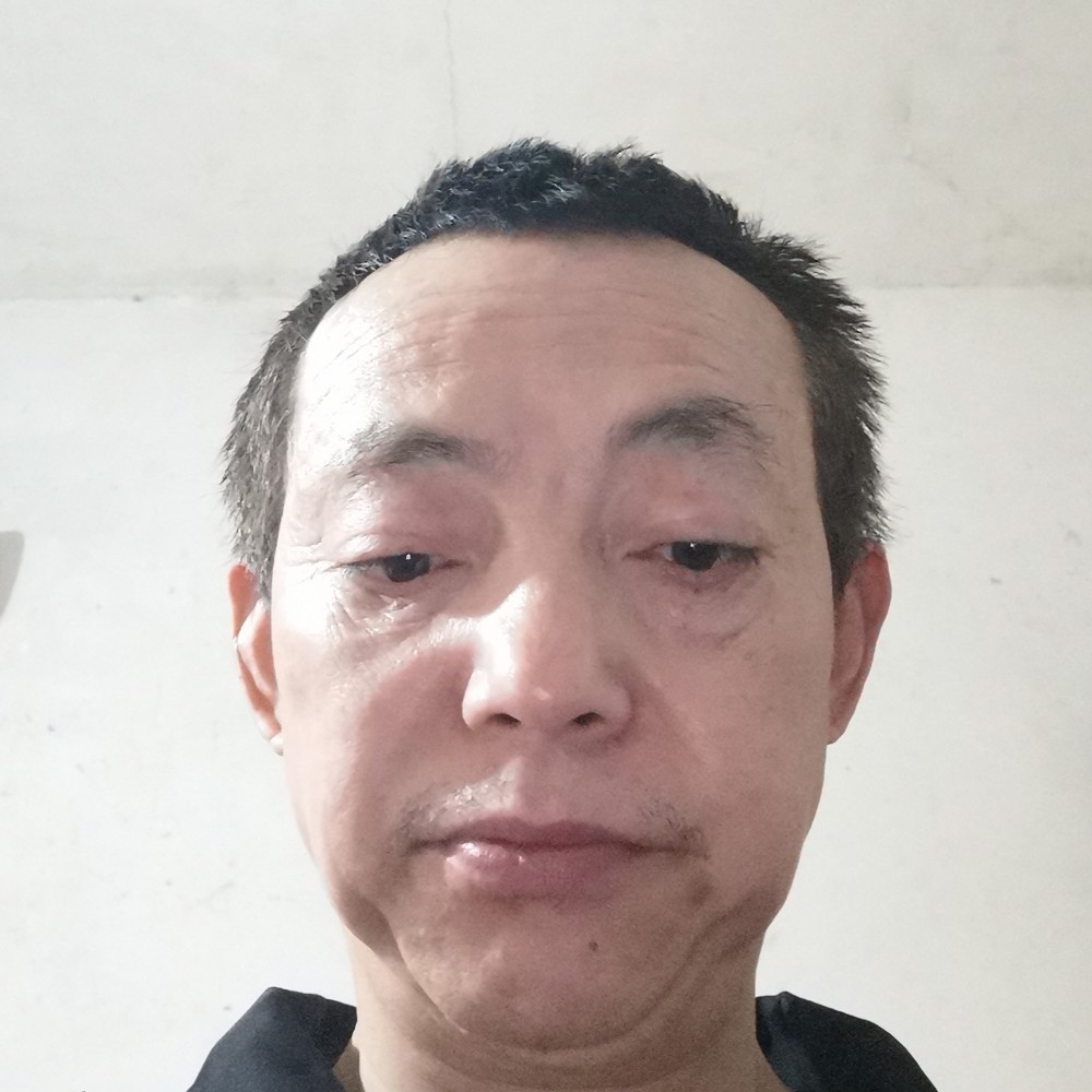 老实的黄牛的照片