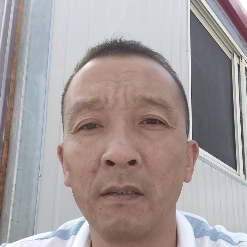 犀牛放弃独寂的照片
