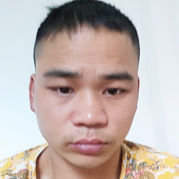 自由绿草陈高敏的照片